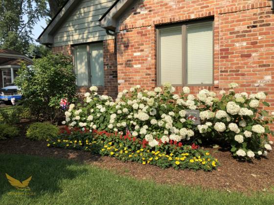 1583 Weymouth Street, West Bloomfield, MI 48324 photo 4