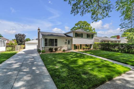 35968 Jamison Street, Livonia, MI 48154 photo 2