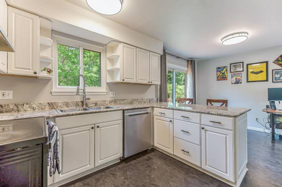 3011 Williamsburg Road, Ann Arbor, MI 48108 photo 5