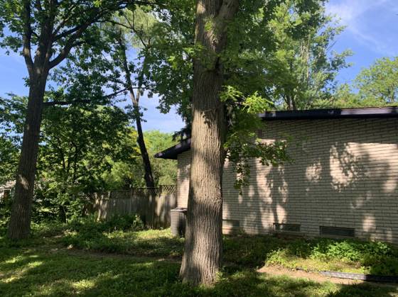 3533 Frederick Drive, Ann Arbor, MI 48105 photo 3