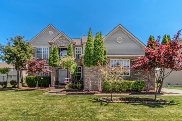 6343 Anna Drive, Belleville, MI