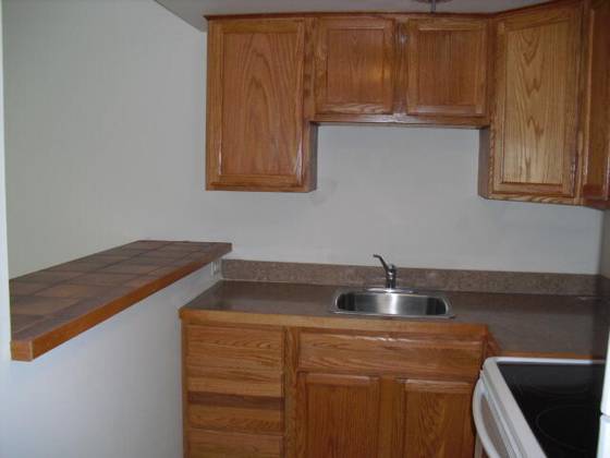 442 S First Street #1, Ann Arbor, MI 48103 photo 5