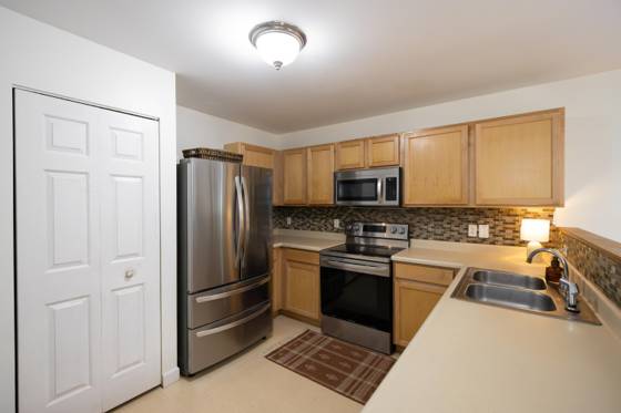 2717 Sycamore River Drive, Fowlerville, MI 48836 photo 4