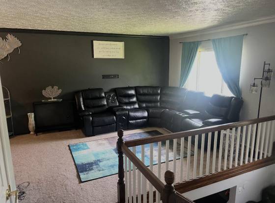 1530 Ecorse Road, Ypsilanti, MI 48198 photo 2