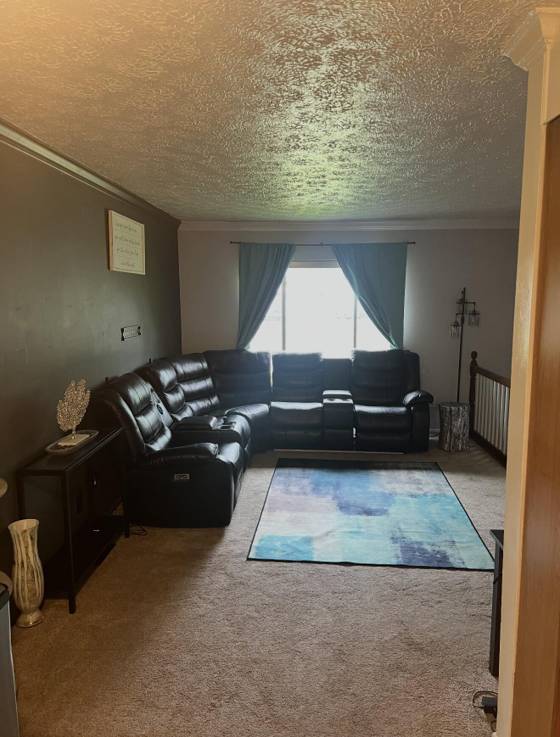 1530 Ecorse Road, Ypsilanti, MI 48198 photo 3