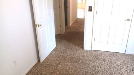 1738 Oak Street, Monroe, MI 48161 photo 5