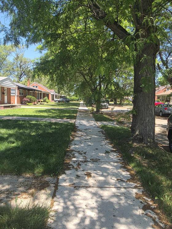 24051 Geneva Street, Oak Park, MI 48237 photo 3