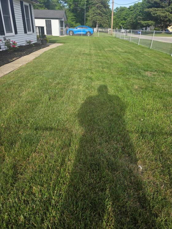 14185 Conover Place, Romulus, MI 48174 photo 2