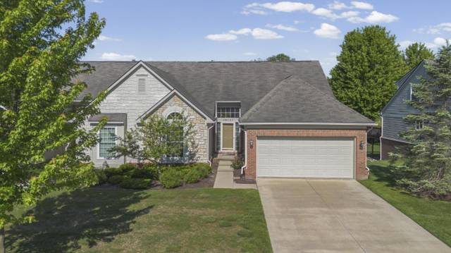 28061 Tremonte Drive #70, New Hudson, MI