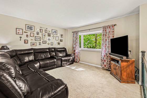 16379 M-36, Stockbridge, MI 49285 photo 5