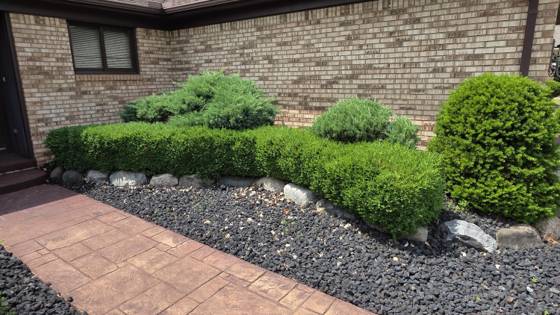 34565 Ann Arbor Trail, Livonia, MI 48150 photo 4
