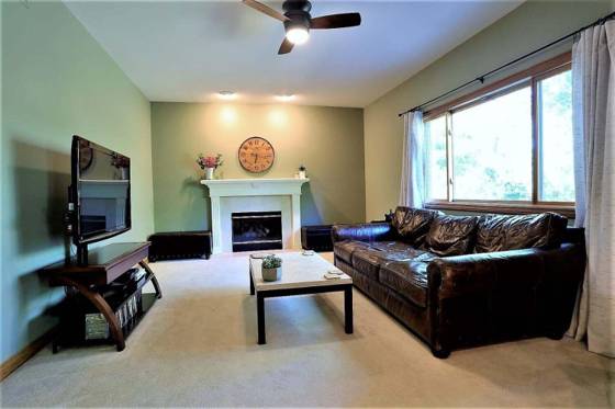 4703 Sawgrass Drive W, Ann Arbor, MI 48108 photo 3