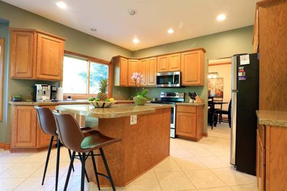4703 Sawgrass Drive W, Ann Arbor, MI 48108 photo 4
