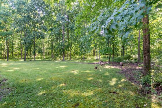 10090 King Hill Court, Dexter, MI 48130 photo 3
