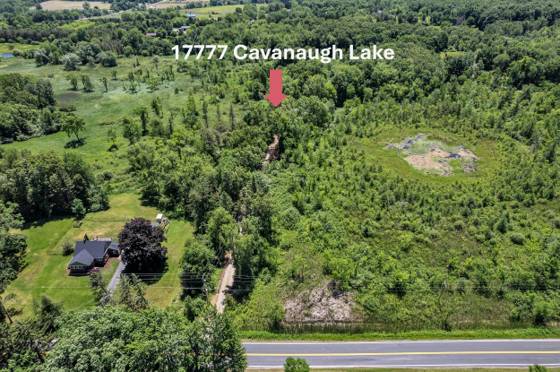 17777 Cavanaugh Lake Road, Chelsea, MI 48118 photo 3
