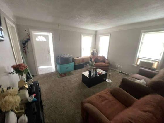 16608 Trinity Street, Detroit, MI 48219 photo 4