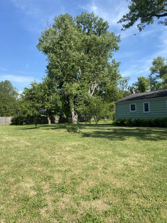 15450 Hazelton Street, Detroit, MI 48223 photo 3