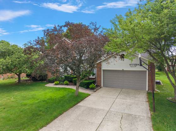 24762 White Plains Drive, Novi, MI 48374 photo 2