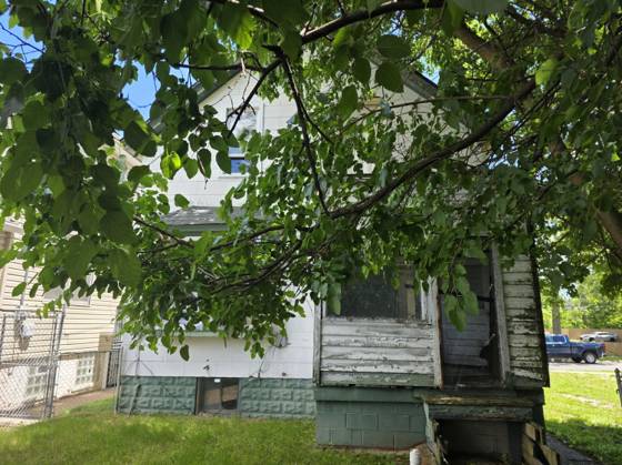 4011 French Road, Detroit, MI 48214 photo 5