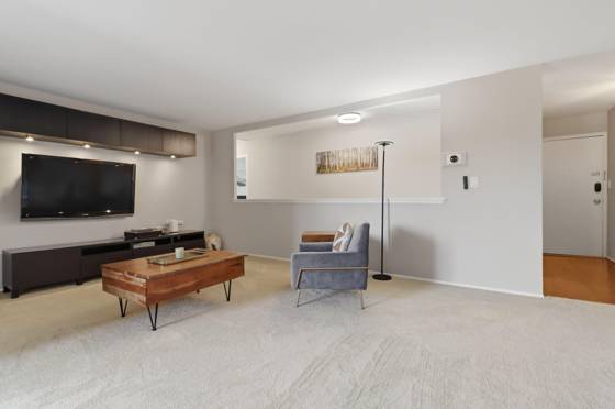 1050 Wall Street #3E, Ann Arbor, MI 48105 photo 4
