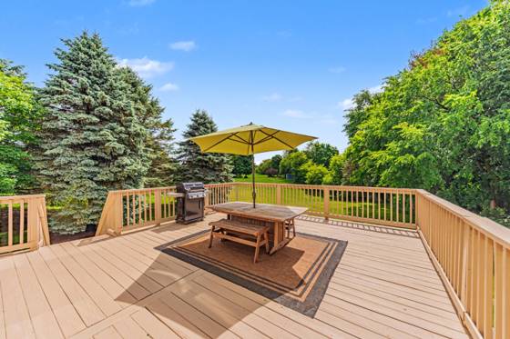 5542 Deer Run Lane, Dexter, MI 48130 photo 4