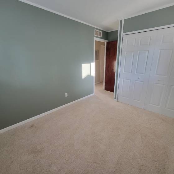 518 Arthur Street, Chelsea, MI 48118 photo 4