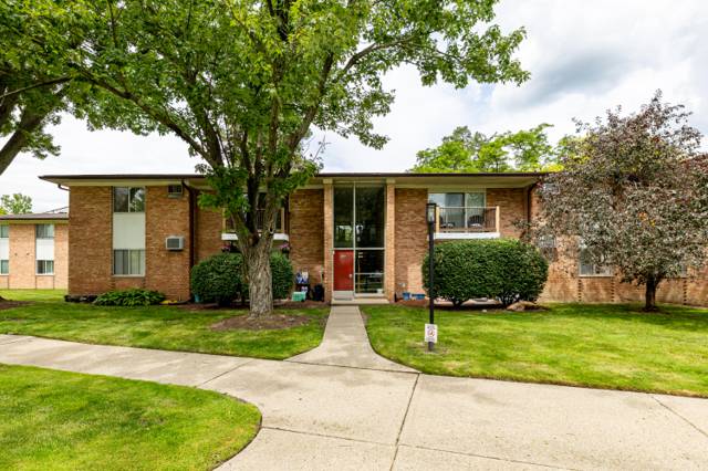 1213 Island Drive #101, Ann Arbor, MI
