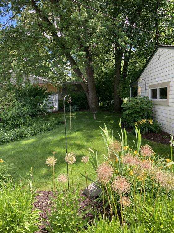 2417 N Circle Drive, Ann Arbor, MI 48103 photo 4