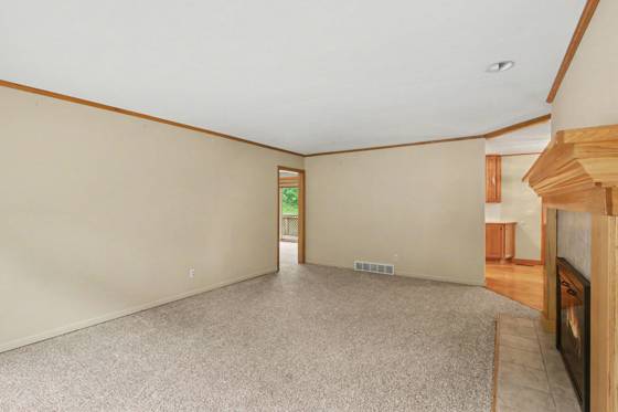 10691 Roepke Road, Chelsea, MI 48118 photo 4