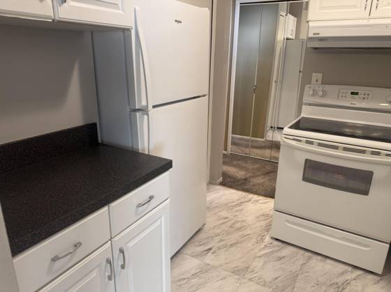 30220 Southfield Road #243, Southfield, MI 48076 photo 5