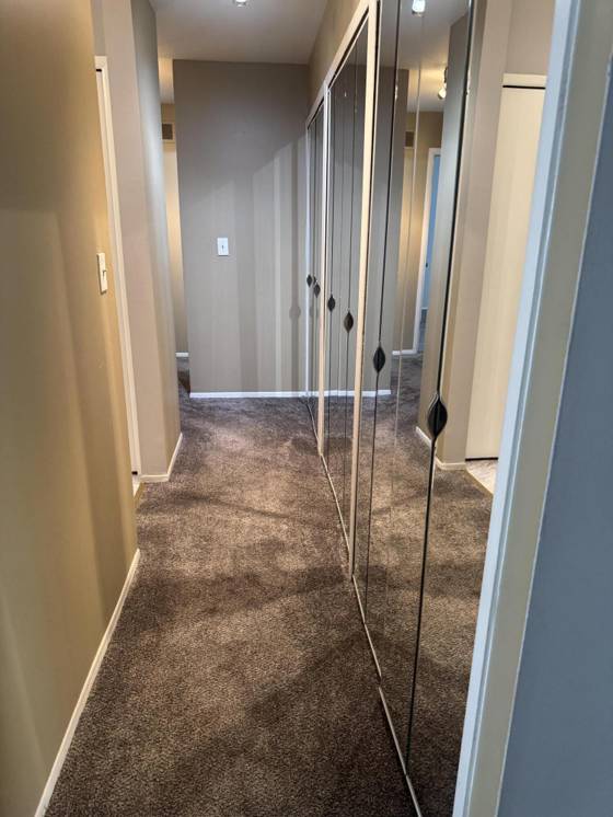 30220 Southfield Road #243, Southfield, MI 48076 photo 4