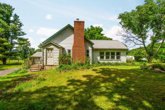 18250 Bush Road, Chelsea, MI 48118 photo 4