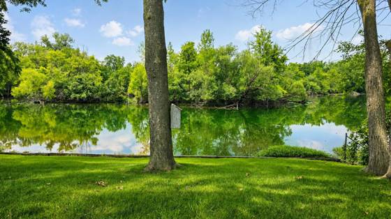 413 Argyle Court, Milan, MI 48160 photo 4