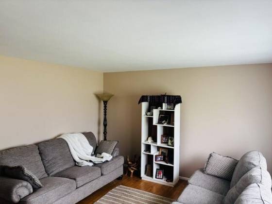2906 Marshall Street, Ann Arbor, MI 48108 photo 2