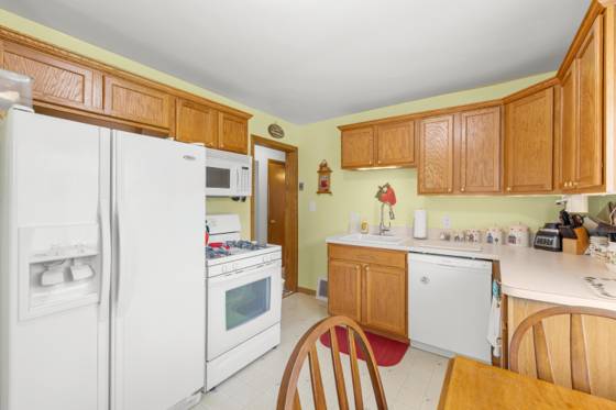 1528 7th Street, Wyandotte, MI 48192 photo 3