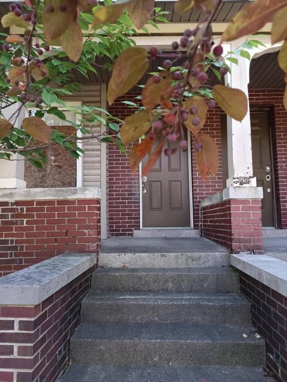 7252 Saint Paul Street, Detroit, MI 48214 photo 3