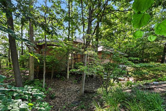 685 Green Road, Ann Arbor, MI 48105 photo 4