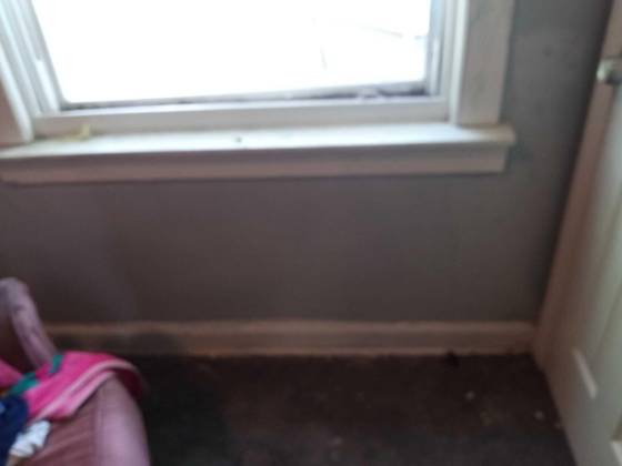 10616 Stratman Street, Detroit, MI 48224 photo 3