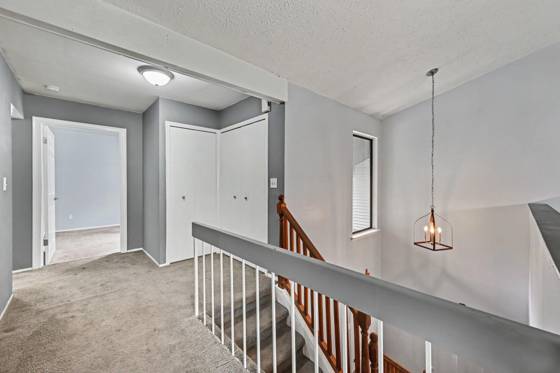24225 Evergreen Road, Southfield, MI 48075 photo 4