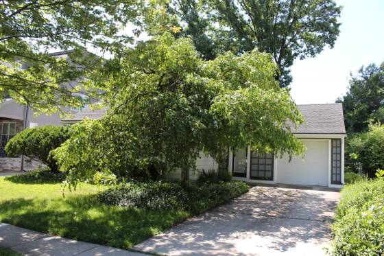 1810 Holland Street, Birmingham, MI 48009 photo 3