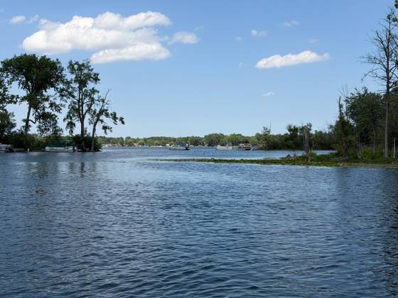8779 Lagoon Drive, Brighton, MI 48116 photo 2