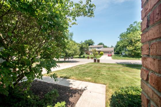 6595 Sauk Trail, Saline, MI 48176 photo 5