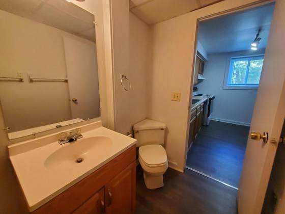 428 N Washington Street, Ypsilanti, MI 48197 photo 3