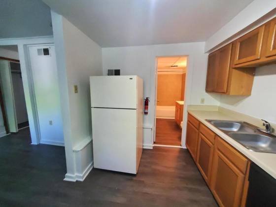 428 N Washington Street, Ypsilanti, MI 48197 photo 2