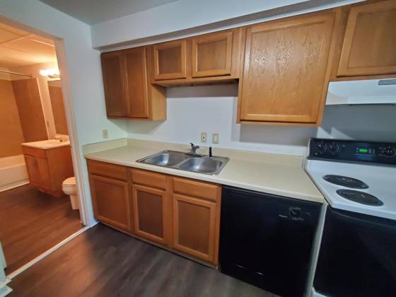 428 N Washington Street, Ypsilanti, MI 48197 photo 5