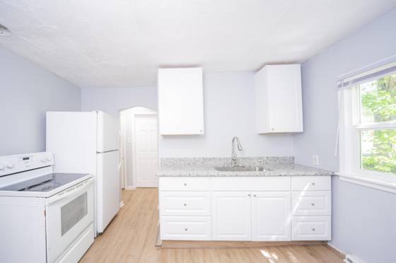 22675 Santa Maria Street, Detroit, MI 48219 photo 4