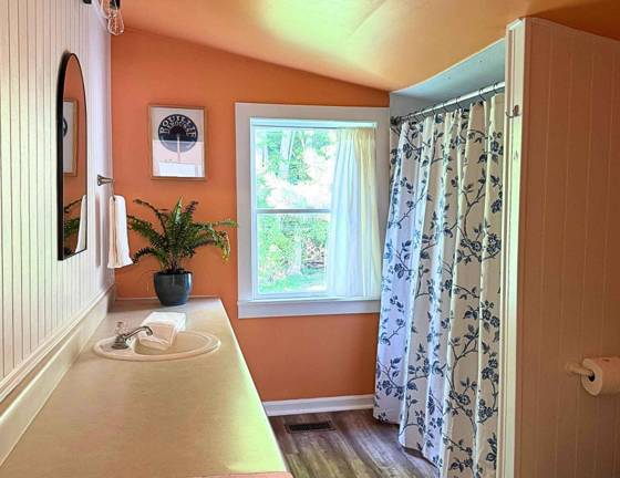 220 N East Street, Brighton, MI 48116 photo 4