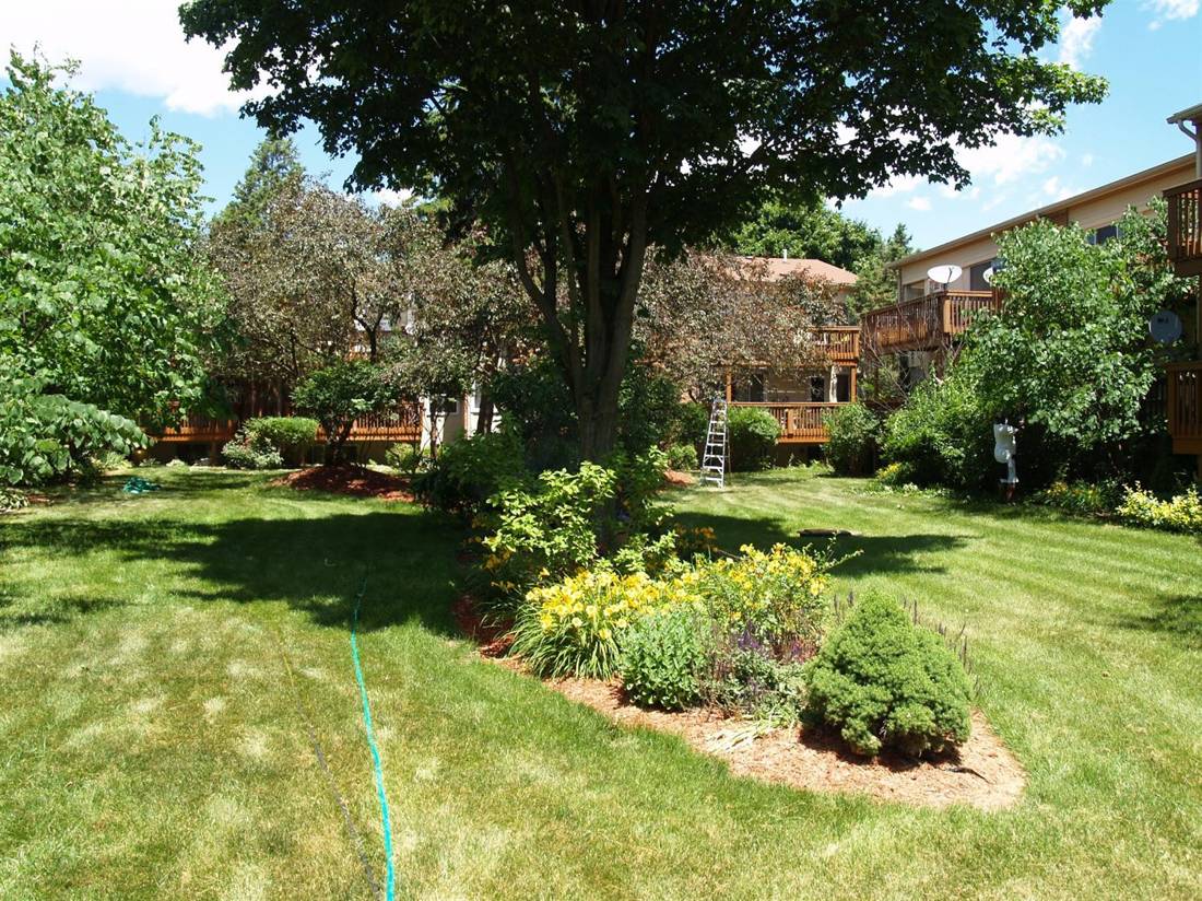4206 Packard Street, Ann Arbor, MI 48108