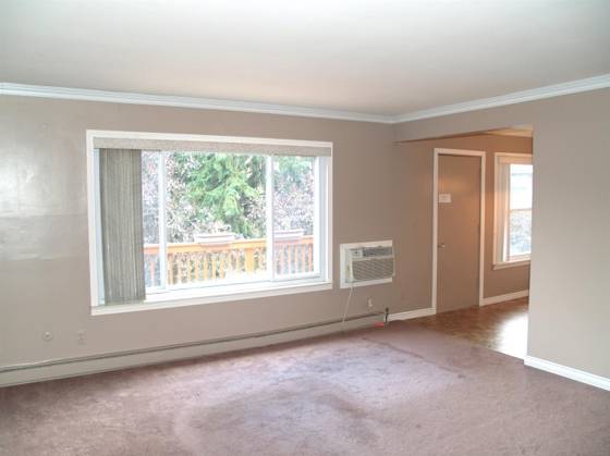 4206 Packard Street, Ann Arbor, MI 48108 photo 3