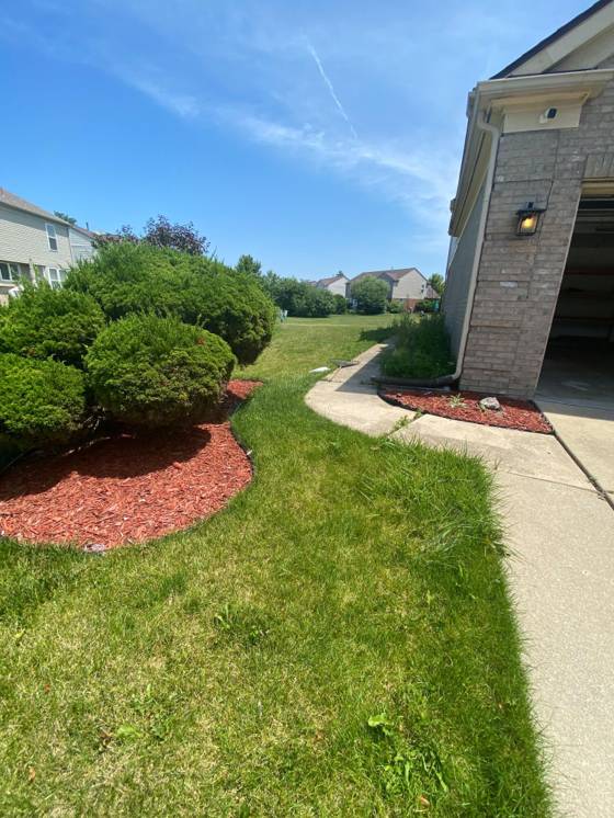 4677 NE Clover Road NE, Canton, MI 48188 photo 4